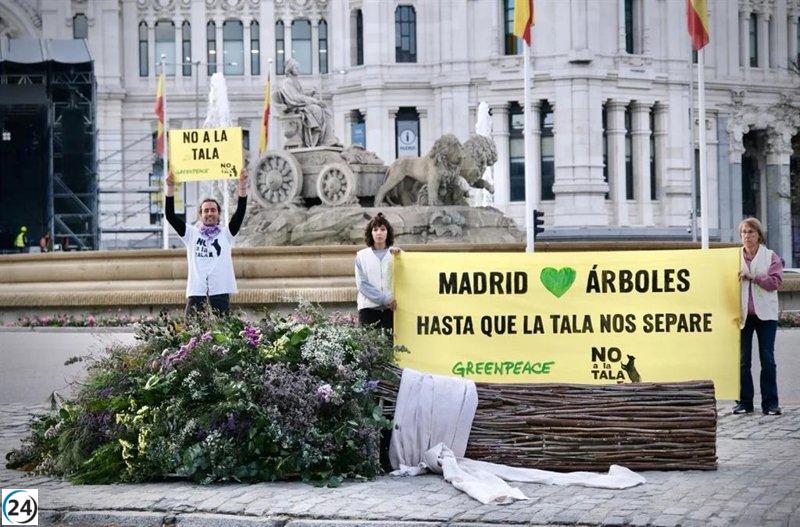Greenpeace utiliza árboles talados en Madrid para protestar contra Almeida en su boda.