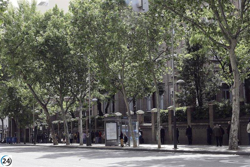 El IMV se extiende a más del 13% de los vulnerables en Madrid, superando la media nacional.