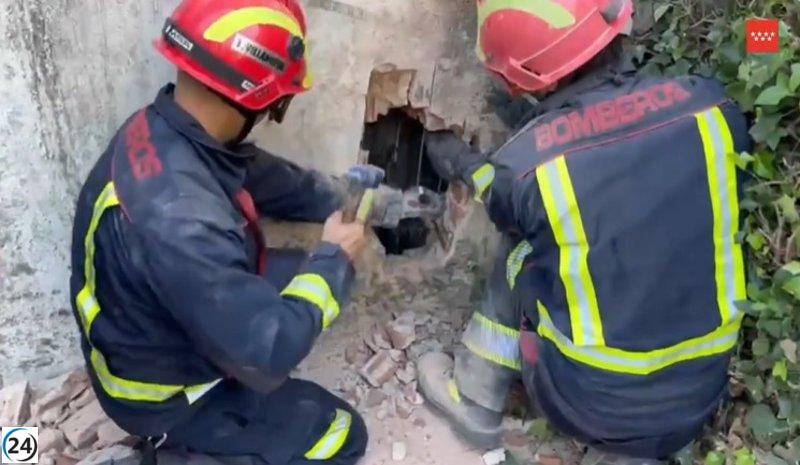 Héroes rescatan mujer y gatito en emergencias en la Pedriza y Villaviciosa.