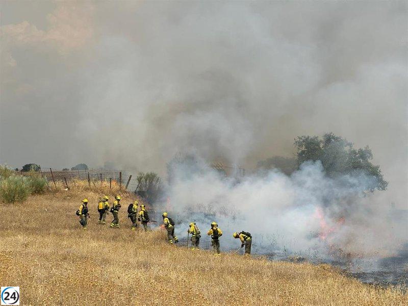 Importante incendio de pastos en Tres Cantos: graves daños a la naturaleza.