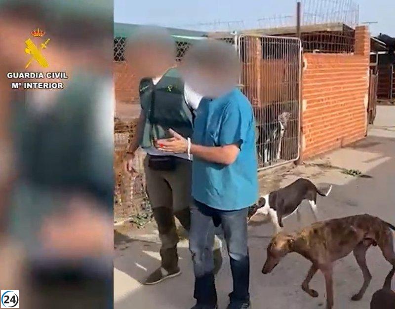 Investigación de la Guardia Civil tras el hallazgo de tres perros muertos y 11 en estado crítico en Cadalso.