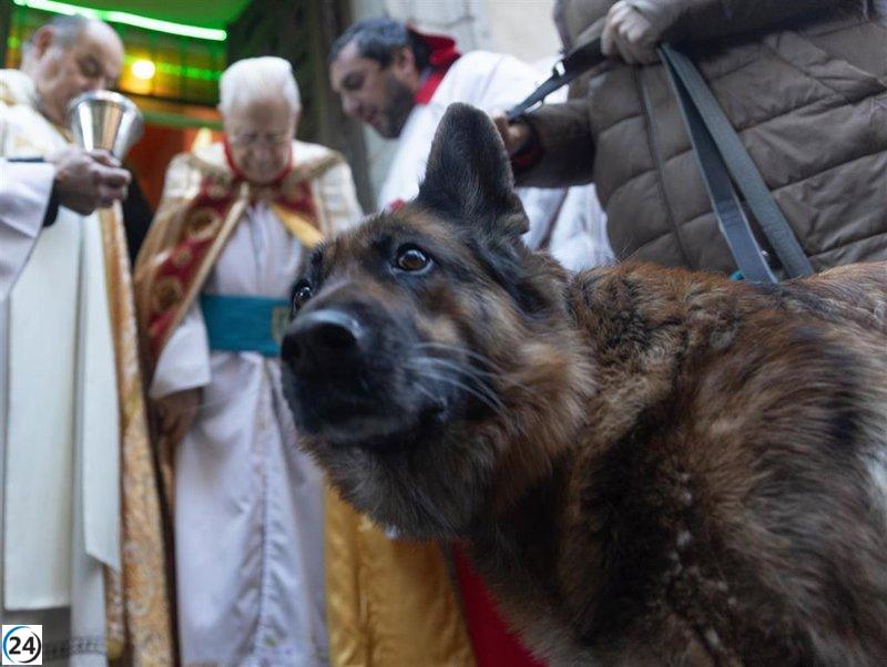 Las mascotas se entregan a San Antón en las bendiciones matutinas con el Padre Ángel:
