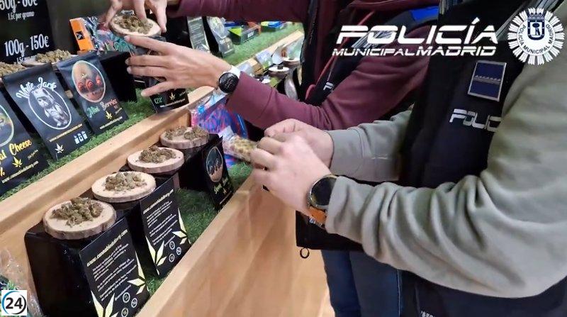 Operativo en tiendas de CBD de Madrid: 11 bajo investigación, 1 arresto y una incautación de 36 kilos de marihuana y 13 de hachís.