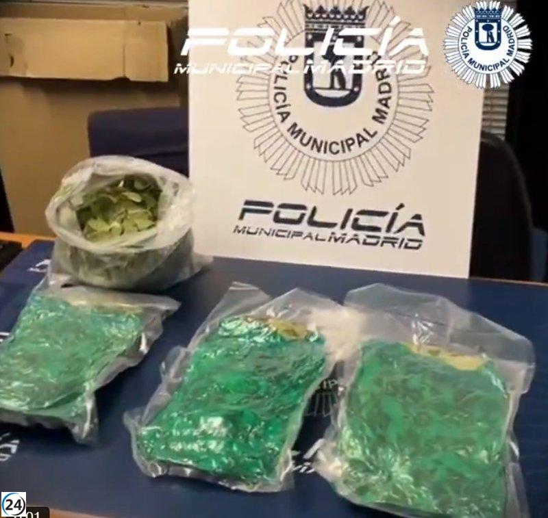 Capturan a vendedor de hojas de coca en frutería de Usera.