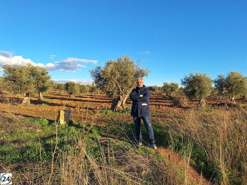 Los vecinos de Aranjuez se oponen a la instalación de una macroplanta solar junto a un colegio.