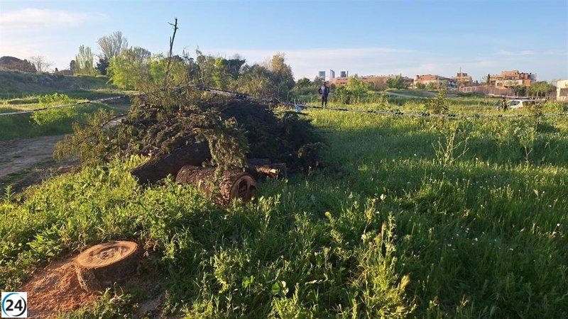 Vecinos de Montecarmelo alertan a Fiscalía por la deforestación en la zona de limpieza.