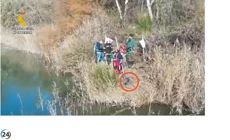 Detenido e investigado por el hallazgo de un perro ahogado en Arganda.