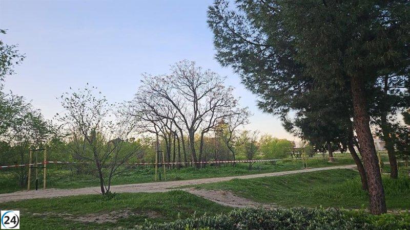 Fiscalía determina que el Ayuntamiento cumplió la Ley de Arbolado en Montecarmelo y cierra la investigación.