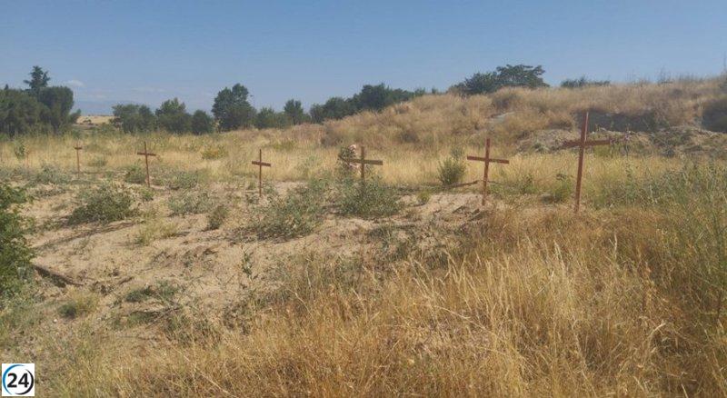 Ecologistas reclaman a Almeida la reforestación de Montecarmelo tras la muerte de 70 árboles.