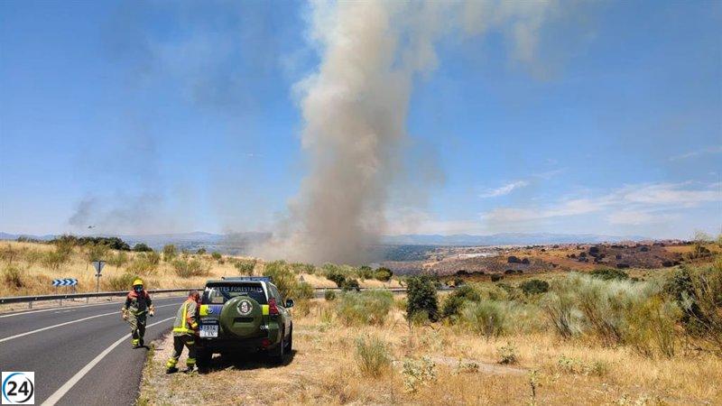 Incendio forestal en Arroyomolinos: bomberos luchan por contener las llamas.
