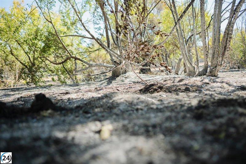 El incendio de Méntrida, bajo control tras intensas labores.
