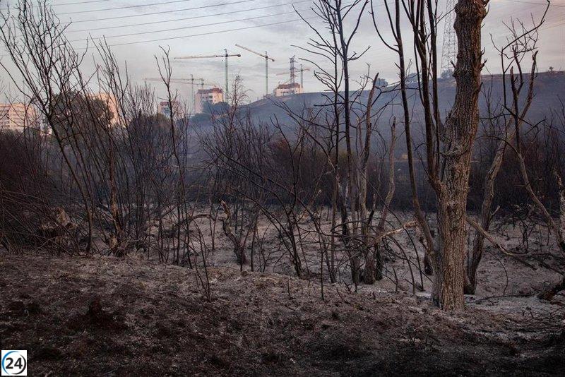 Incendio forestal en Tres Cantos deja un muerto y arrasa 1.500 hectáreas, aún en proceso de control.