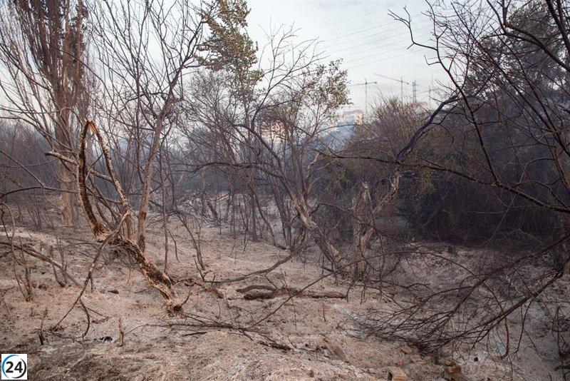 Incendio en Tres Cantos bajo control, pero el clima de esta tarde genera inquietud.