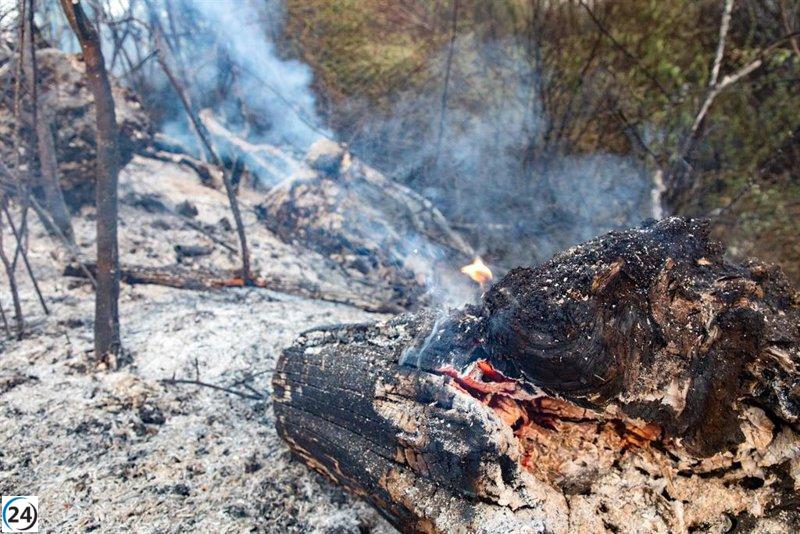 Brigadas Forestales suspenden huelga hasta el 25 debido a la grave crisis por incendios.