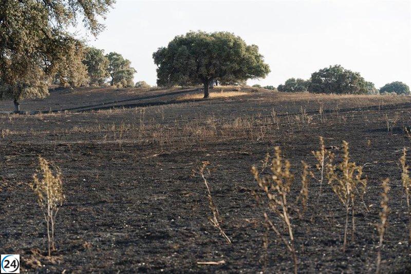 Más Madrid presenta iniciativa ecológica: refuerzo de bomberos públicos y reforestación ante crisis climática.