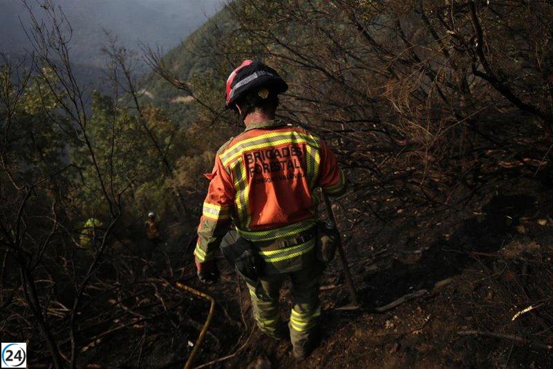 Ciudadanos instan al Gobierno a extender beneficios laborales de BRIF a Brigadas Forestales de Madrid.