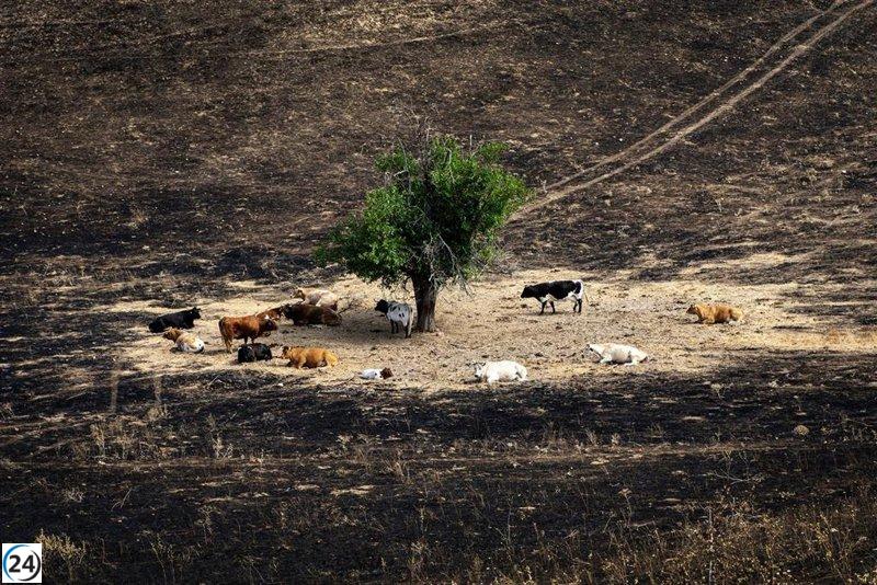 Ayudas de la Comunidad para damnificados del incendio en Tres Cantos disponibles desde septiembre.