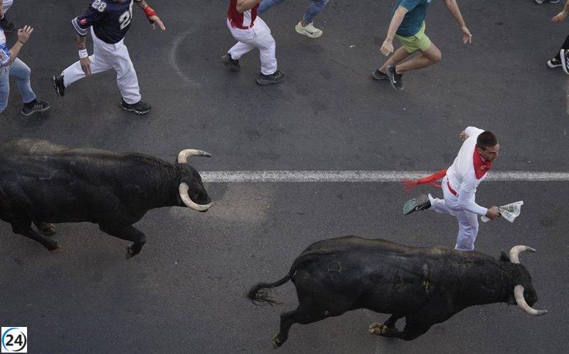 El séptimo encierro en San Sebastián de los Reyes deja un saldo de 11 heridos.