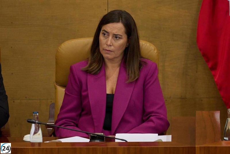 Jueza prorroga seis meses la indagatoria sobre Ana Millán, dirigente del PP madrileño.
