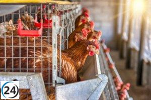 Valdemoro en alerta: protocolo activado por brote de gripe aviar en granja de 450.000 aves.