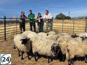 La Comunidad apoya a pastor de Colmenar Viejo con la donación de ovejas tras incendio.
