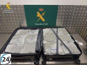 Tres viajeros arrestados en Barajas por transportar casi 60 kilos de marihuana.