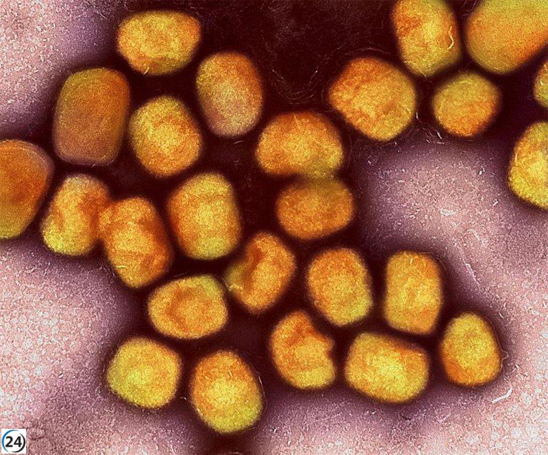 Primera infección autóctona de viruela del mono tipo clado 1b reportada en la Comunidad.