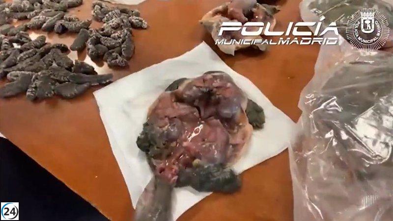 Restaurante de Usera denunciado por venta ilegal de medicamentos y animales exóticos sacrificados onsite.