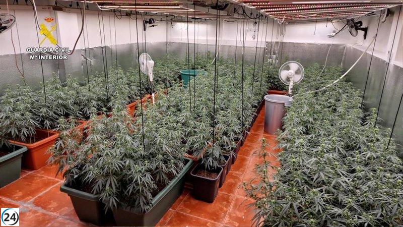 Desmantelamiento de banda de narcotráfico en La Cañada: 21 detenidos