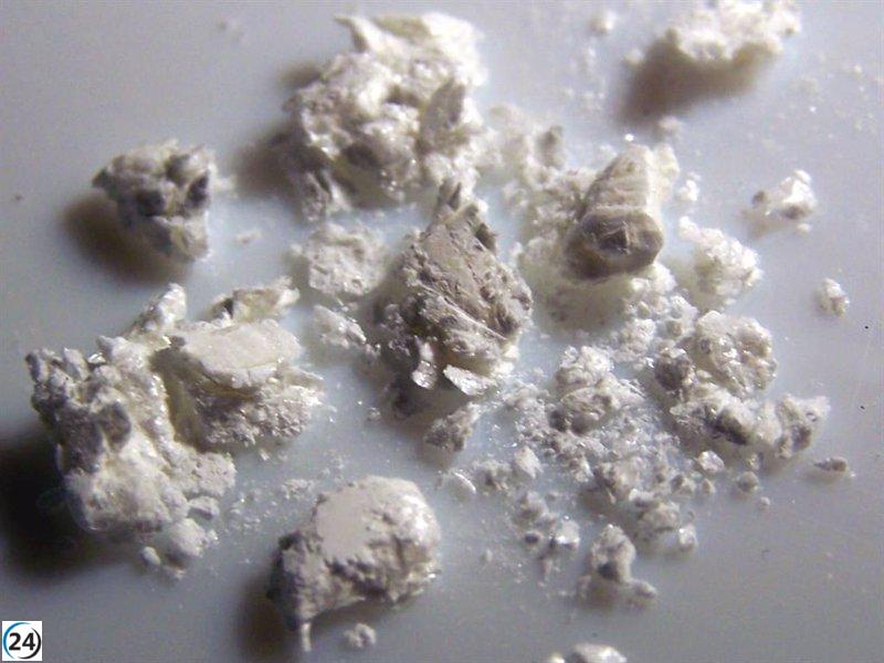 Más de 200 fallecidos en 2022 a causa de sustancias psicoactivas, destacando la cocaína.