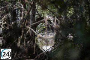 Intenso operativo de limpieza en Aldea del Fresno y Villamanta: 100 operarios y 50 vehículos trabajan en conjunto.