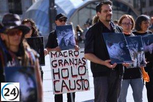 Organización de Igualdad Animal expone imágenes explícitas de cerdos mutilados en protesta contra el maltrato en granjas