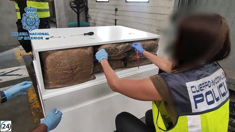 Banda desmantelada por traficar drogas camufladas en envíos de café a nivel internacional