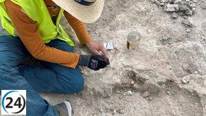 Descubiertos fósiles de ancestral elefante en La Atalayuela hace 14 millones de años