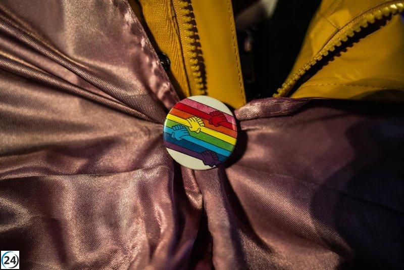 Más Madrid solicita al Defensor del Pueblo que recurra ante el Tribunal Constitucional las modificaciones ocultas de las leyes LGTBI de Ayuso.