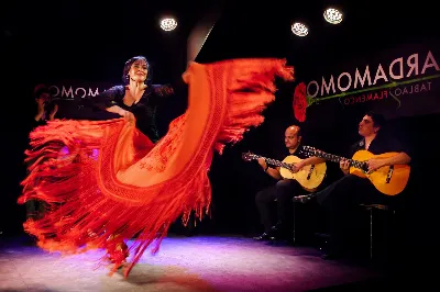 Flamenco en Madrid, el alma de España