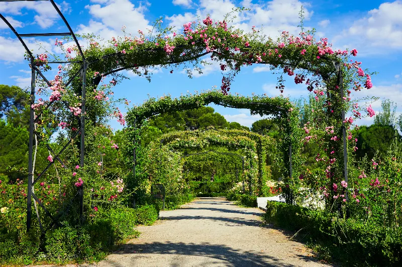 Parques madrileños: la naturaleza en la ciudad